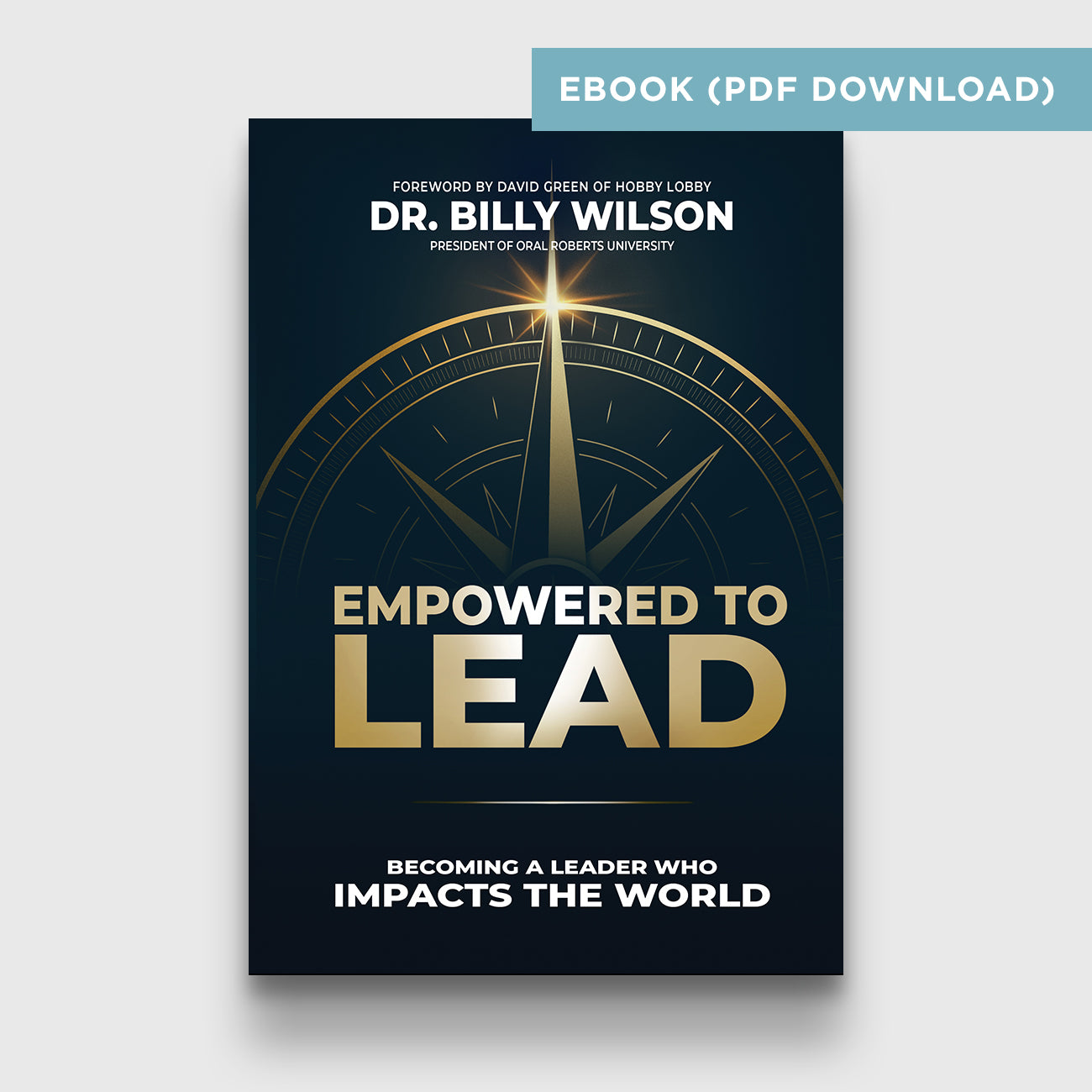 Empowered to Lead PDF Download
